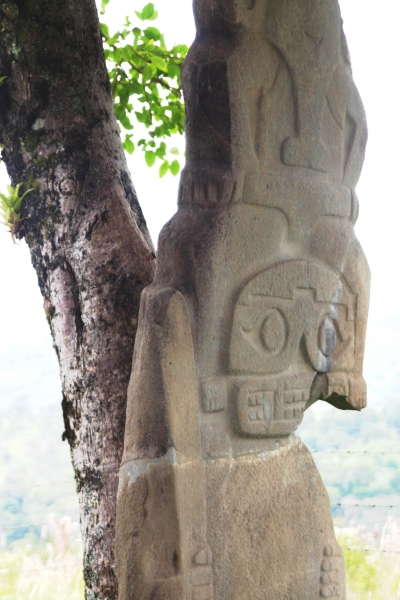 Zuid Colombia (266)