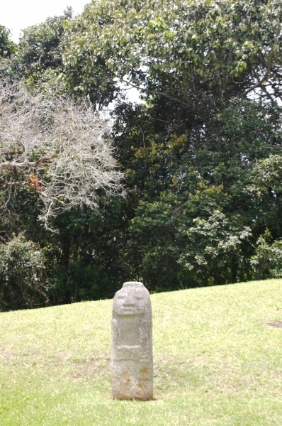 Zuid Colombia (294)