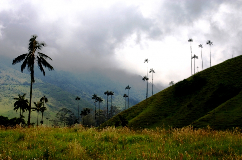 Zuid Colombia (52)