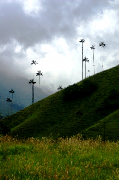 Zuid Colombia (54)