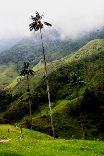 Zuid Colombia (57)
