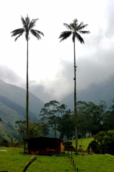 Zuid Colombia (58)