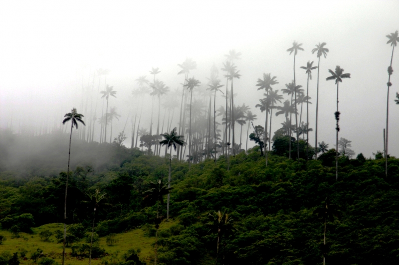 Zuid Colombia (62)