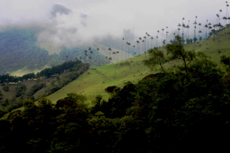 Zuid Colombia (63)