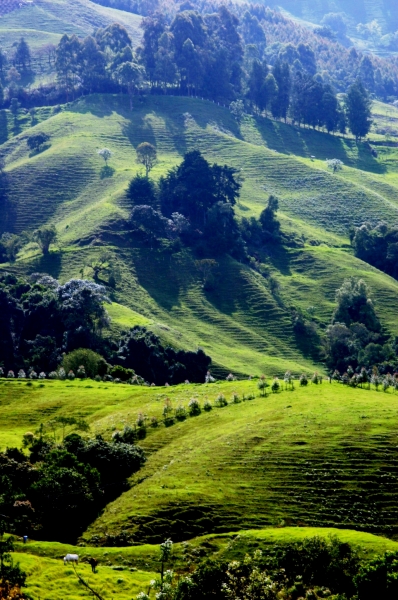 Zuid Colombia (65)