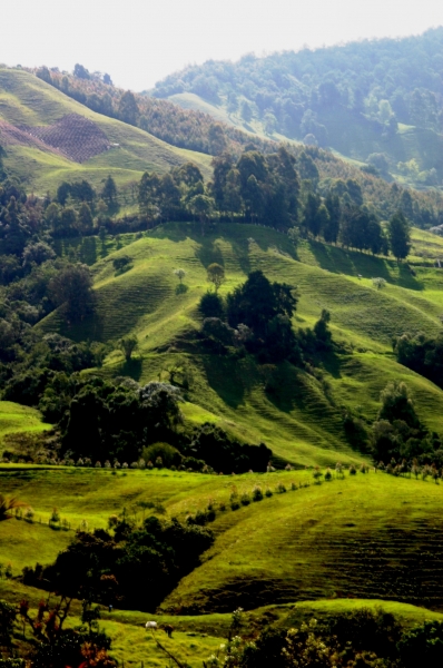 Zuid Colombia (66)