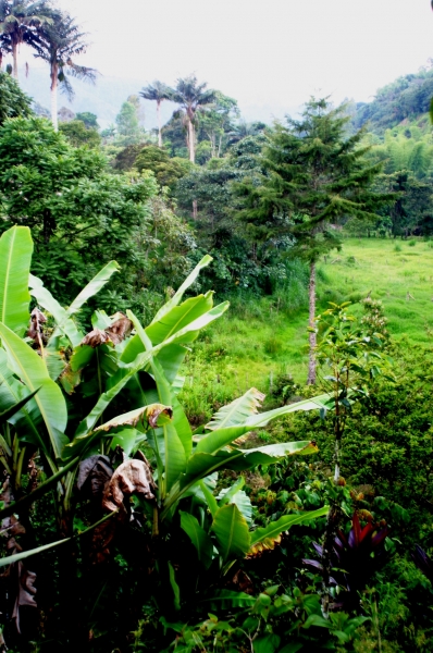 Zuid Colombia (68)