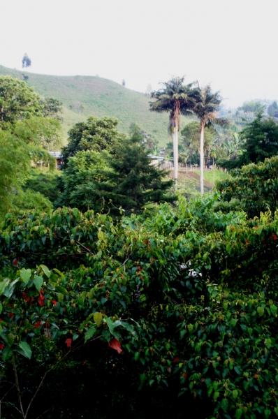 Zuid Colombia (70)
