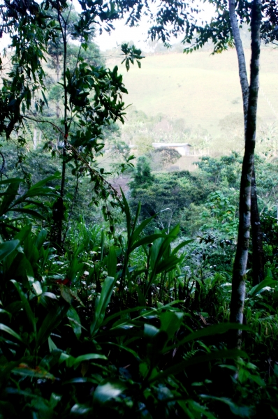 Zuid Colombia (72)