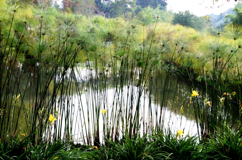 Zuid Colombia (74)