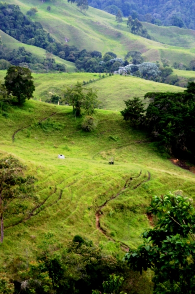 Zuid Colombia (75)