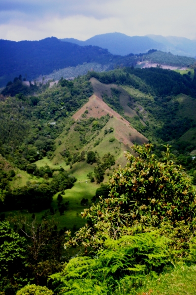 Zuid Colombia (76)