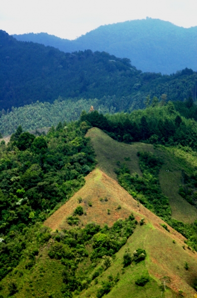 Zuid Colombia (77)