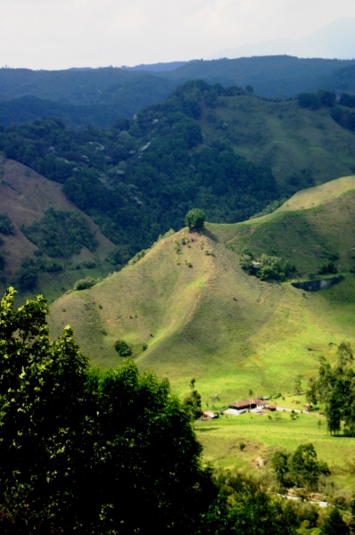 Zuid Colombia (78)