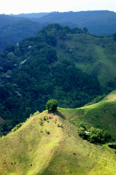 Zuid Colombia (79)