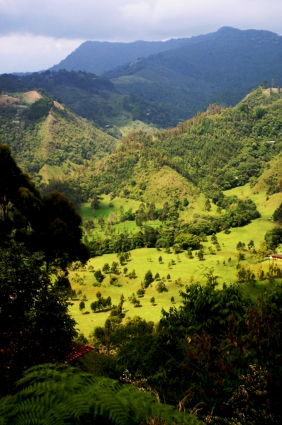 Zuid Colombia (83)