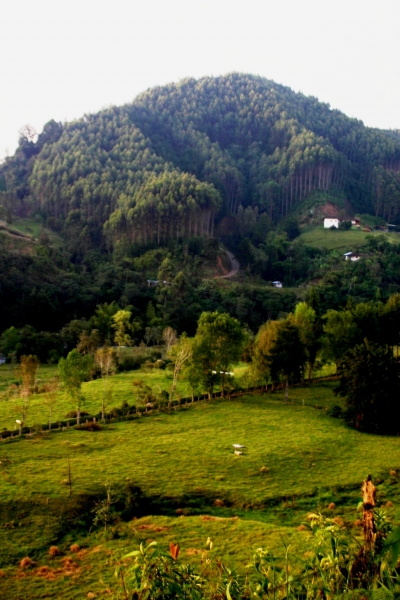 Zuid Colombia (85)