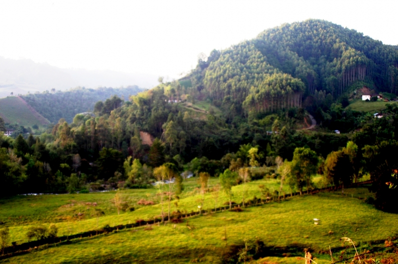 Zuid Colombia (86)
