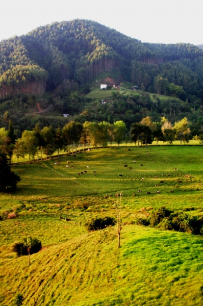Zuid Colombia (87)