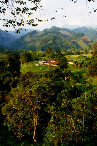 Zuid Colombia (88)