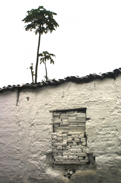 Zuid Colombia (9)