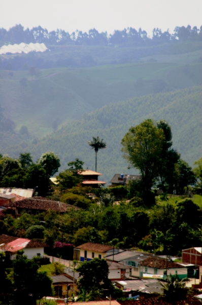 Zuid Colombia (96)