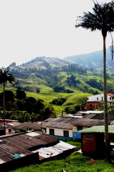 Zuid Colombia (97)