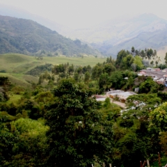 Zuid Colombia (100)