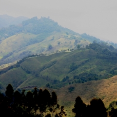 Zuid Colombia (101)