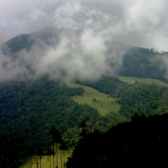 Zuid Colombia (103)