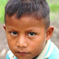 Zuid Colombia (138)