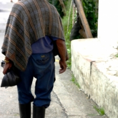 Zuid Colombia (143)