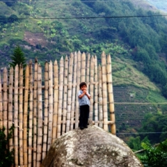 Zuid Colombia (163)