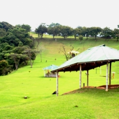 Zuid Colombia (183)