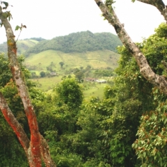 Zuid Colombia (184)