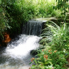 Zuid Colombia (186)