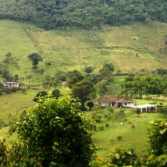 Zuid Colombia (187)