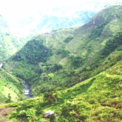 Zuid Colombia (191)
