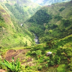 Zuid Colombia (192)