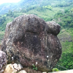 Zuid Colombia (200)