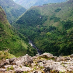 Zuid Colombia (201)