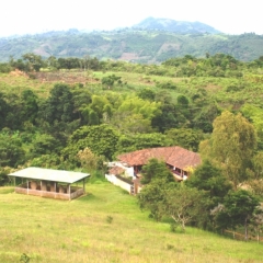 Zuid Colombia (203)