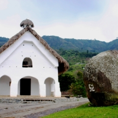 Zuid Colombia (216)