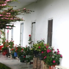 Zuid Colombia (220)