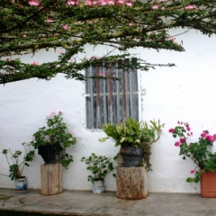 Zuid Colombia (221)