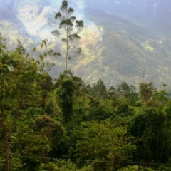 Zuid Colombia (224)