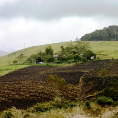 Zuid Colombia (227)
