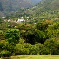 Zuid Colombia (232)