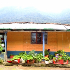 Zuid Colombia (234)