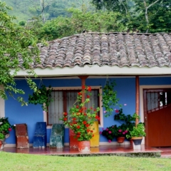 Zuid Colombia (235)